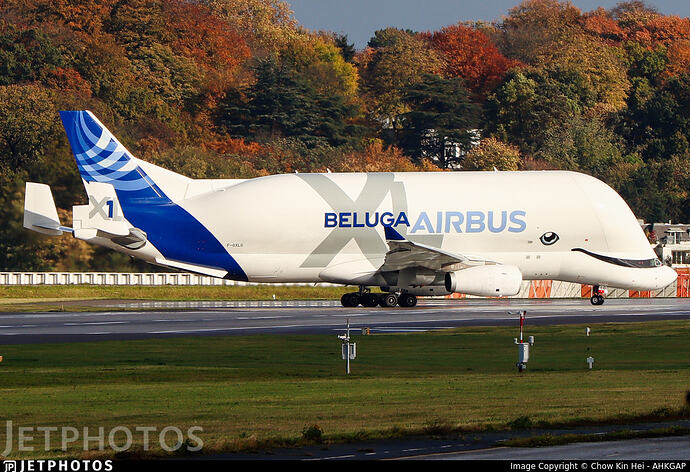 17705638117061432380498595901079