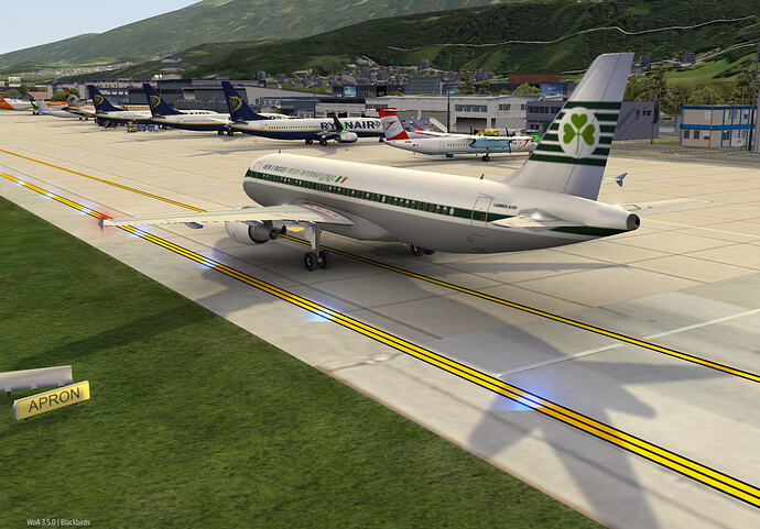 IMG_2974