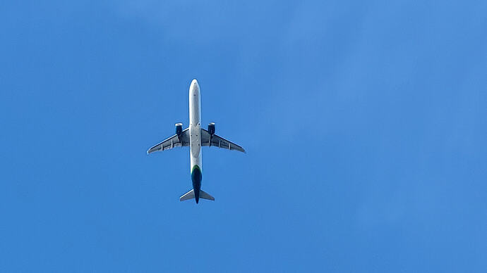 20260811_081256