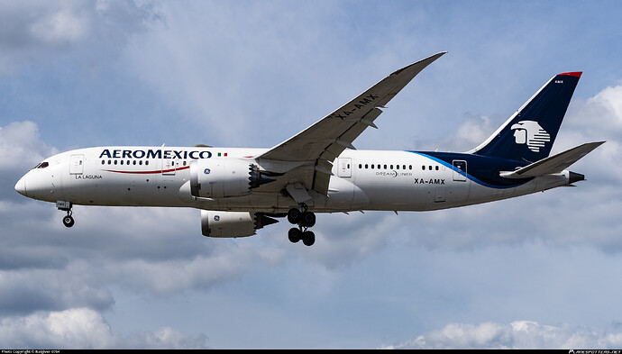 xa-amx-aeromexico-boeing-787-8-dreamliner_PlanespottersNet_1644638_3a3a3c3123_o