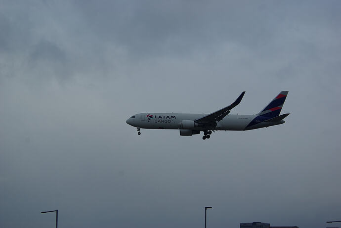 IMGP3119