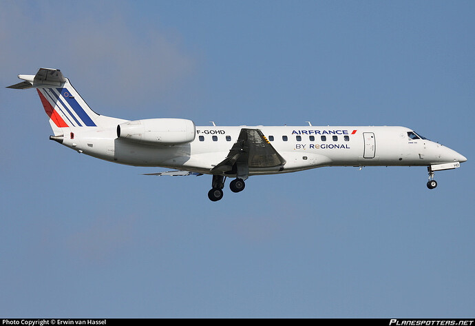 f-gohd-air-france-embraer-erj-135er_PlanespottersNet_259635_12f608872d_o