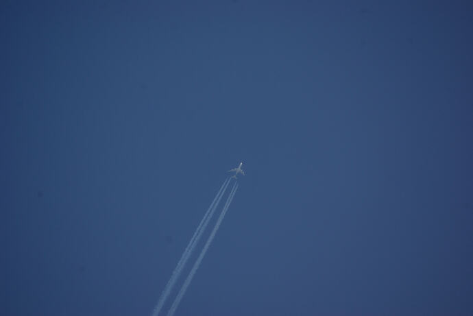 IMGP2377