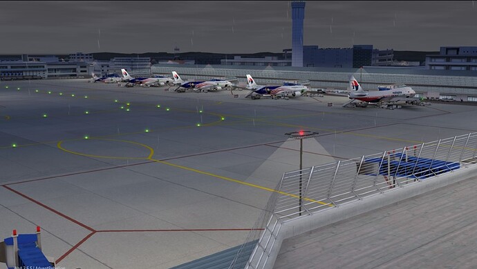 NGO Malaysia Airlines 2