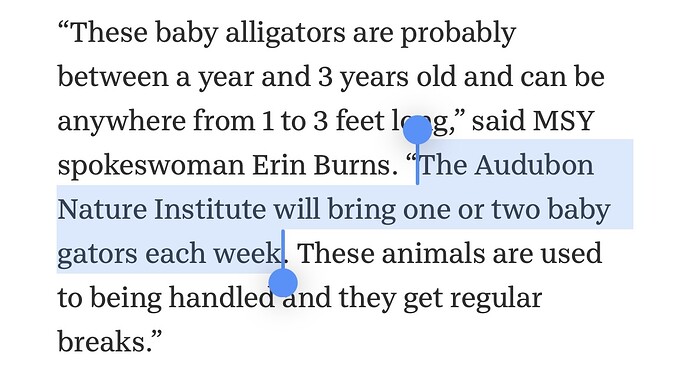 reason why two alligators