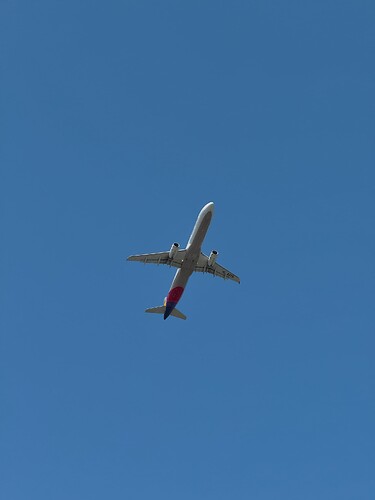 IMG_6275