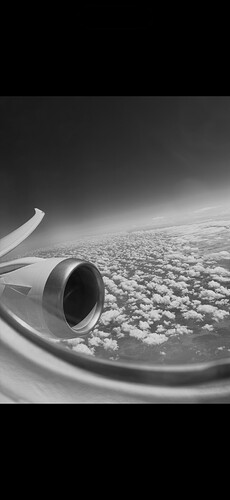 IMG_3647