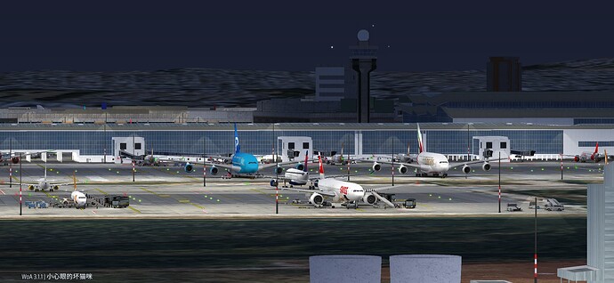 Sao Paulo_2025-07-26-11-50-47