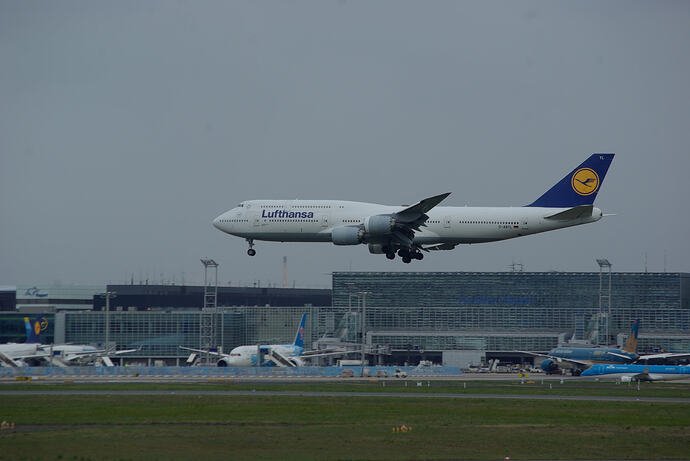 IMGP3408