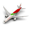 RAM B789