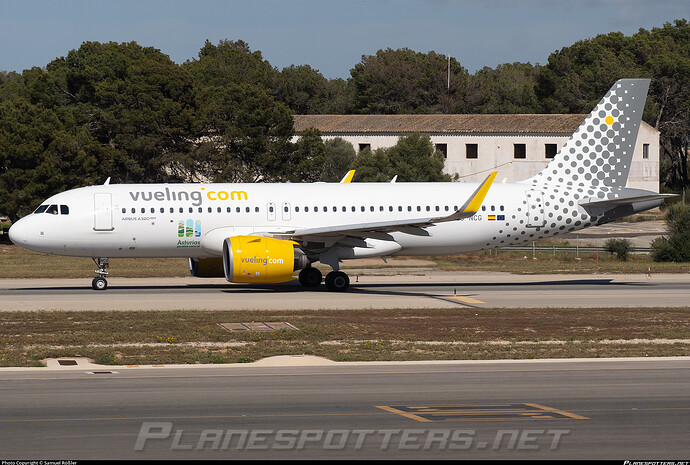 ec-ncg-vueling-airbus-a320-271n_PlanespottersNet_1531516_2196f66d81_o