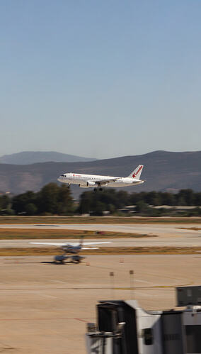 IMG_2375 (1)