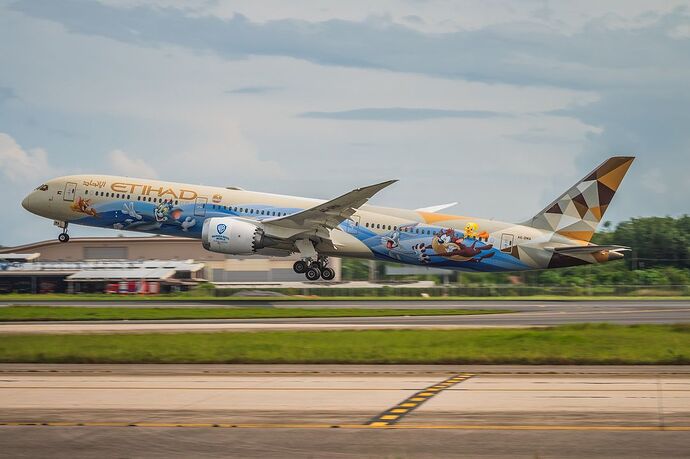 Etihad Airways (Warner Bros. World Livery)_Boeing 787-10 Dreamliner _A6-BMA_HKT(JPG)