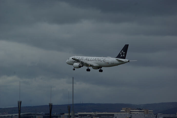 IMGP3510