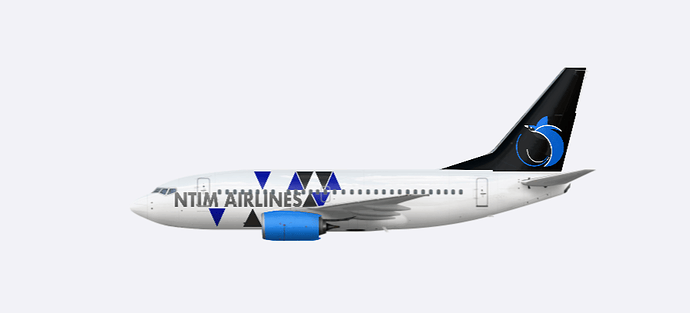 NTIM Airlines B736
