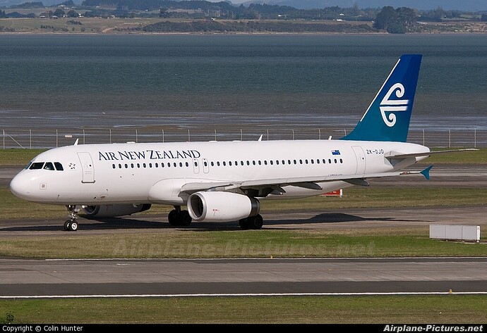 13787.jpg.23d5e6a6b6bfd7d6b311eeaaa7cf24b8