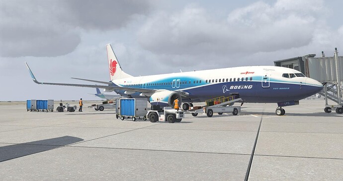 Lion air boeing livery
