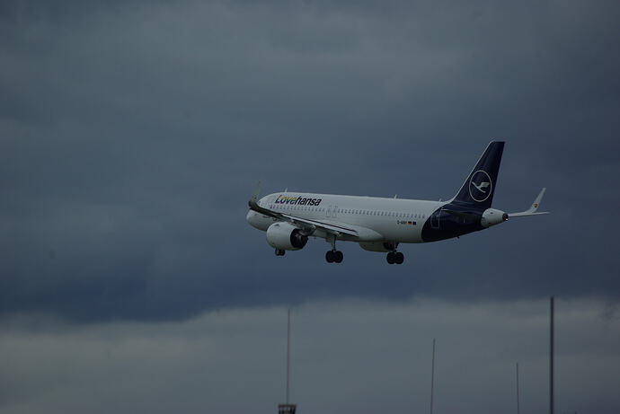 IMGP3771