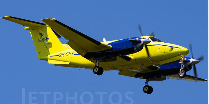 BE20-Small Fly 3_PNG