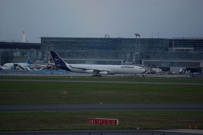 IMGP2950