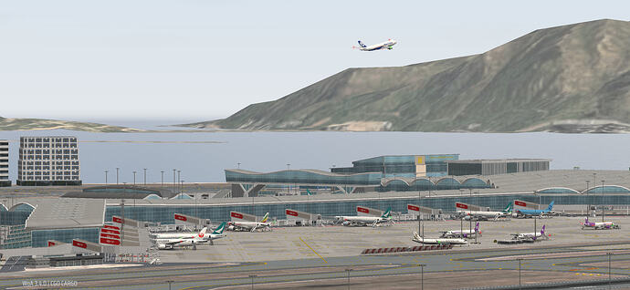 Hong Kong_2026-01-24-17-00-27