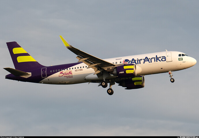 hz-fbg-air-anka-airbus-a320-251n_PlanespottersNet_1828534_11216bb445_o