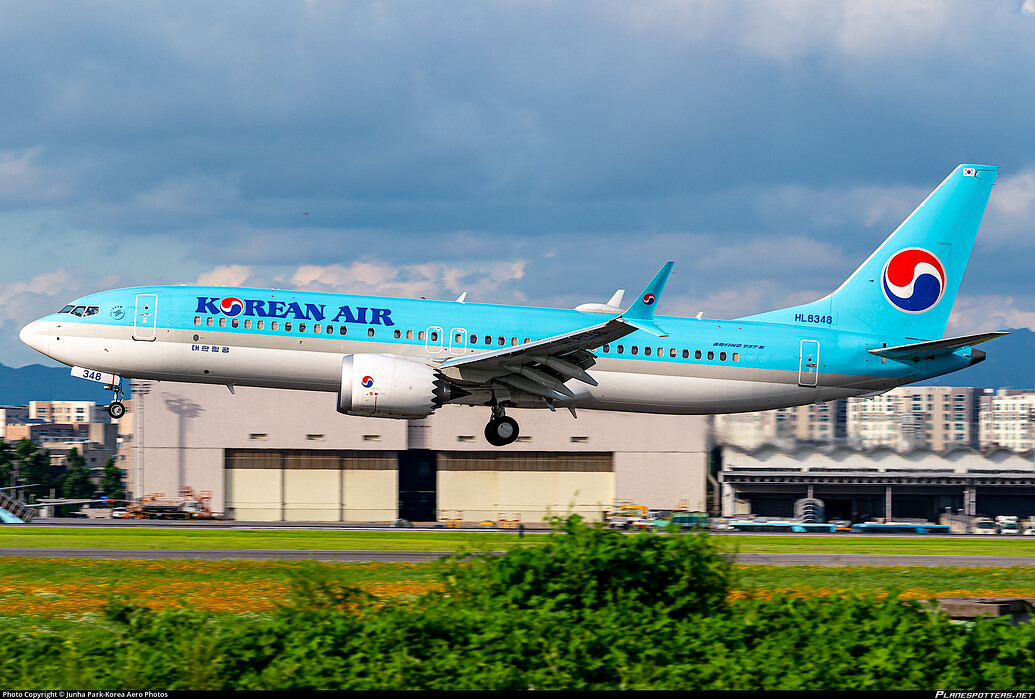 [Livery] B38M - Korean Air - Bugs - Flyboys.Games forum