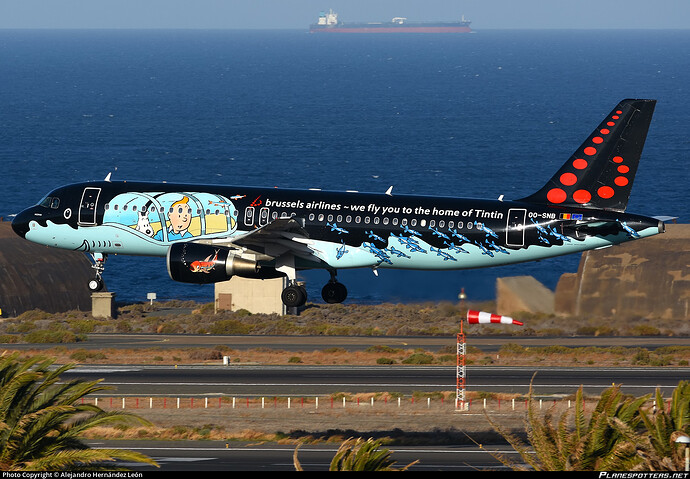 oo-snb-brussels-airlines-airbus-a320-214_PlanespottersNet_971665_f98d7f4c70_o