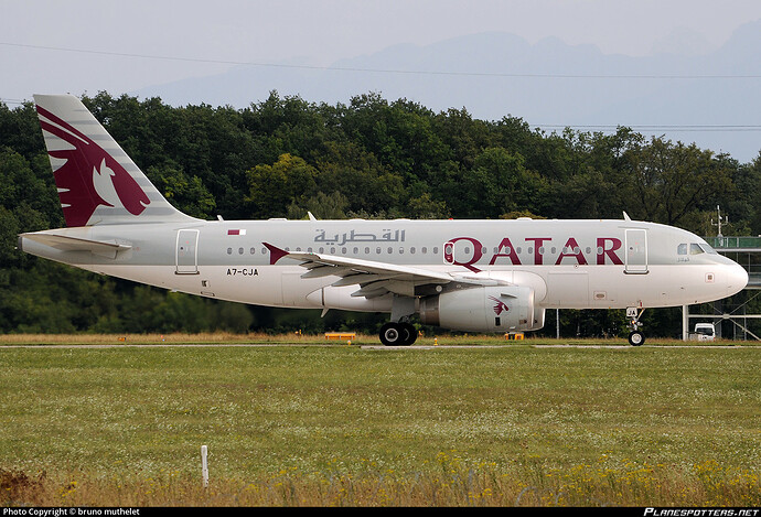 a7-cja-qatar-airways-airbus-a319-133-lr_PlanespottersNet_308213_4252393323_o