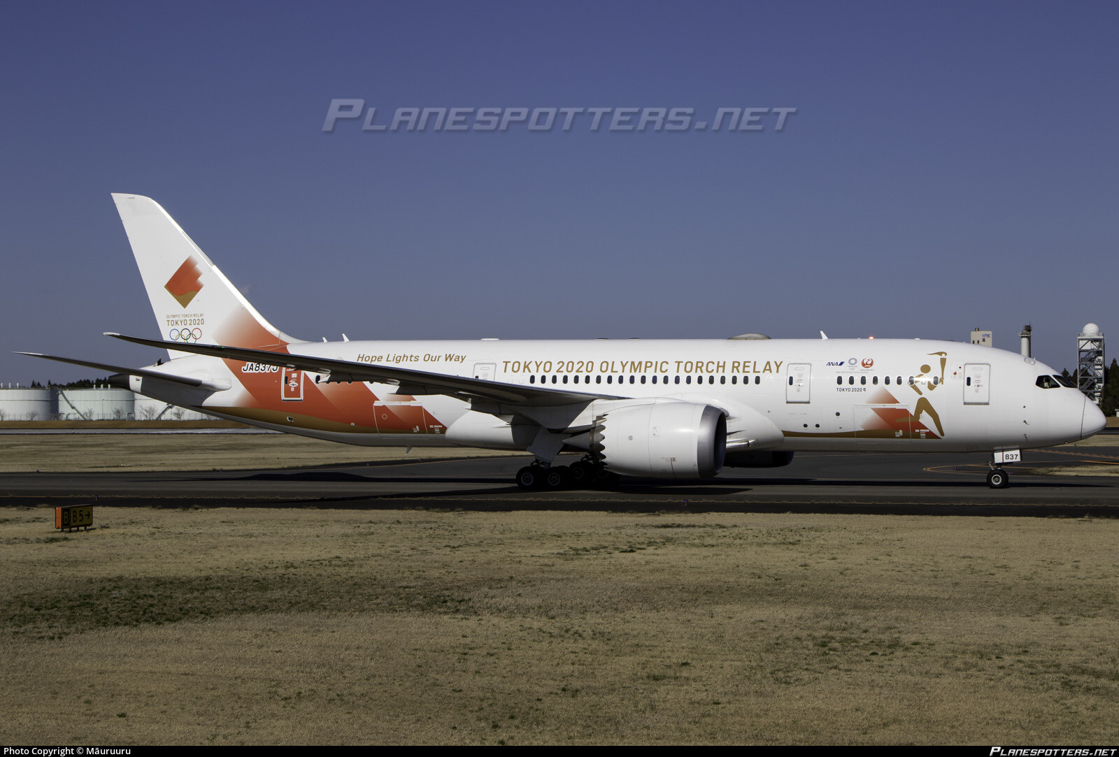 JAL / B788 - Japan Airlines (Tokyo 2020 Olympic Games Torch Relay