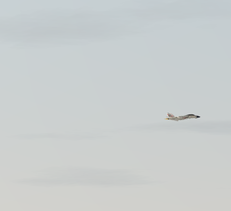 Screenshot 2024-08-28 180137