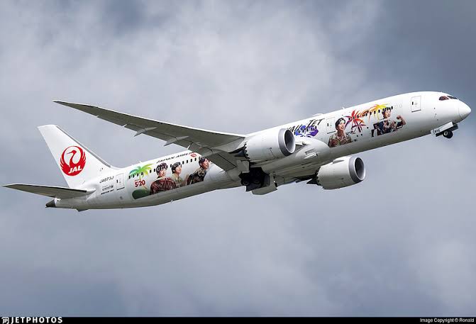 JAL / B789 Japan Airlines (Arashi Hawaii Jet livery