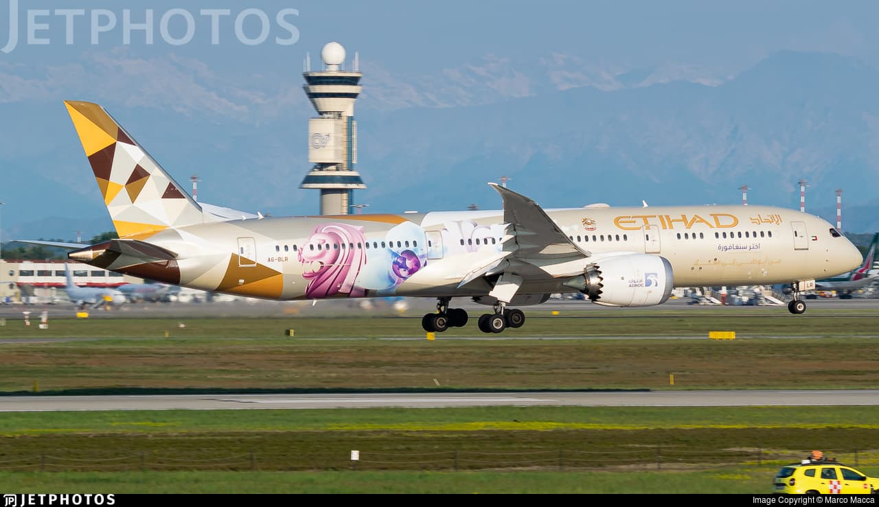 ETD / B789 - Etihad Airways (Choose Singapore livery) - Livery - World of  Airports forum
