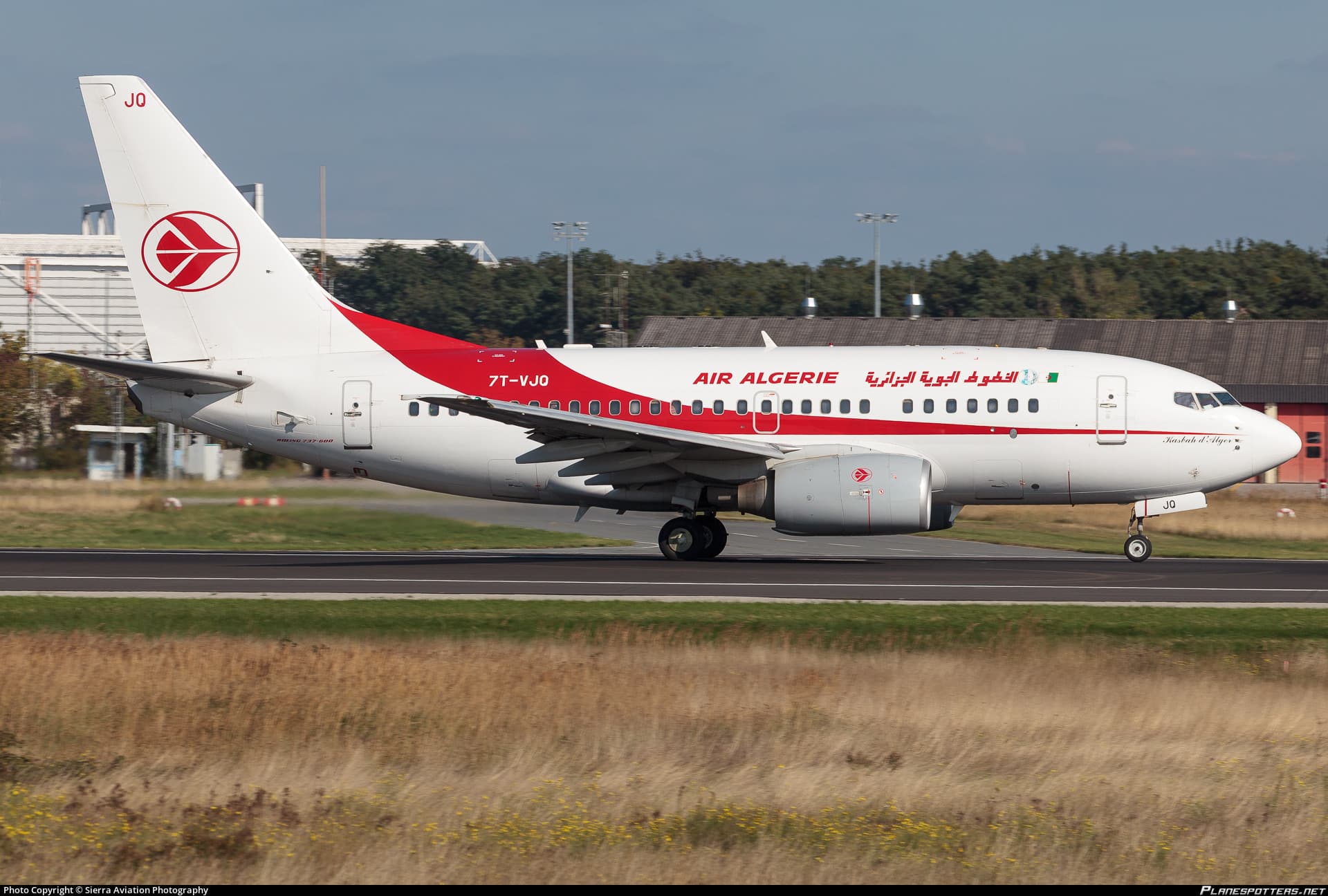 7t-vjq-air-algerie-boeing-737-6d6_PlanespottersNet_1784233_f73357e76f_o