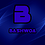 bashaviation
