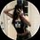 flyando_av