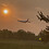 I_like-cars_andplane