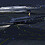 Woa_pilote